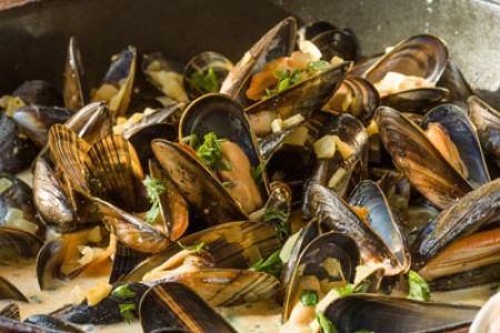 Curry Mussels